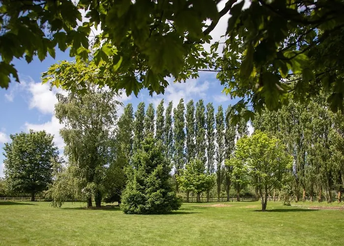 Logis Restaurant Le Mere 3*